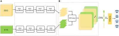 A novel feature fusion network for multimodal emotion recognition from EEG and eye movement signals